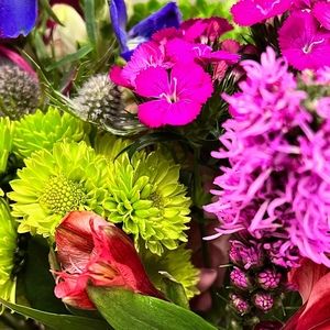 Meet your Posher, Kendall